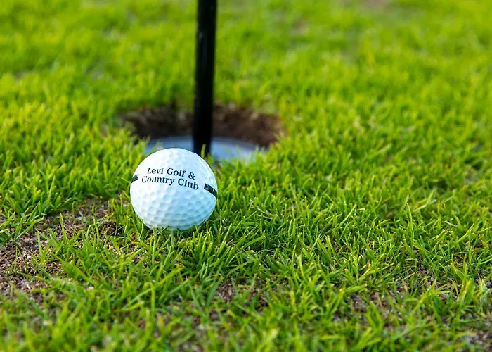 In Lapland - Sointuilevi6 A59 Апартаменты *